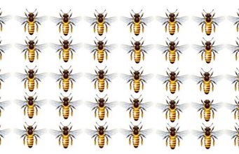 Only High IQs can spot the odd one out within 20 seconds