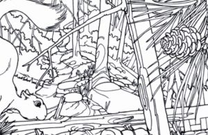 Find the 6 hidden objects.