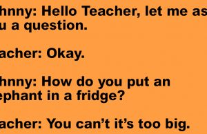 Johnny Asked A Questions To His Teacher.