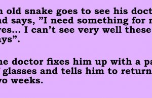 An old snake goes to see his doctor