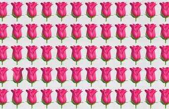 How Quickly Can You Spot The Odd One Out? Not Many Can Do It Under 30 Seconds!