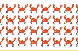 Can you Spot The Odd Crab Out In this sea life riddle?
