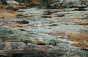 Can you find the leopard hiding among the rocks?