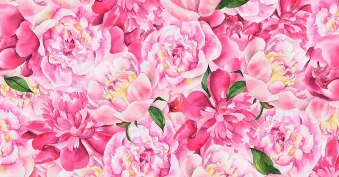 Can You find Butterfly hiding among the Peonies in less than 15 seconds