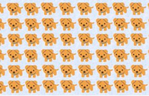 How Long Does It Take For You To Spot The Odd One Out?