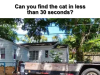 Can you find the cat in less than 30 seconds?