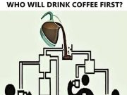 Who Will Drink Coffee First?